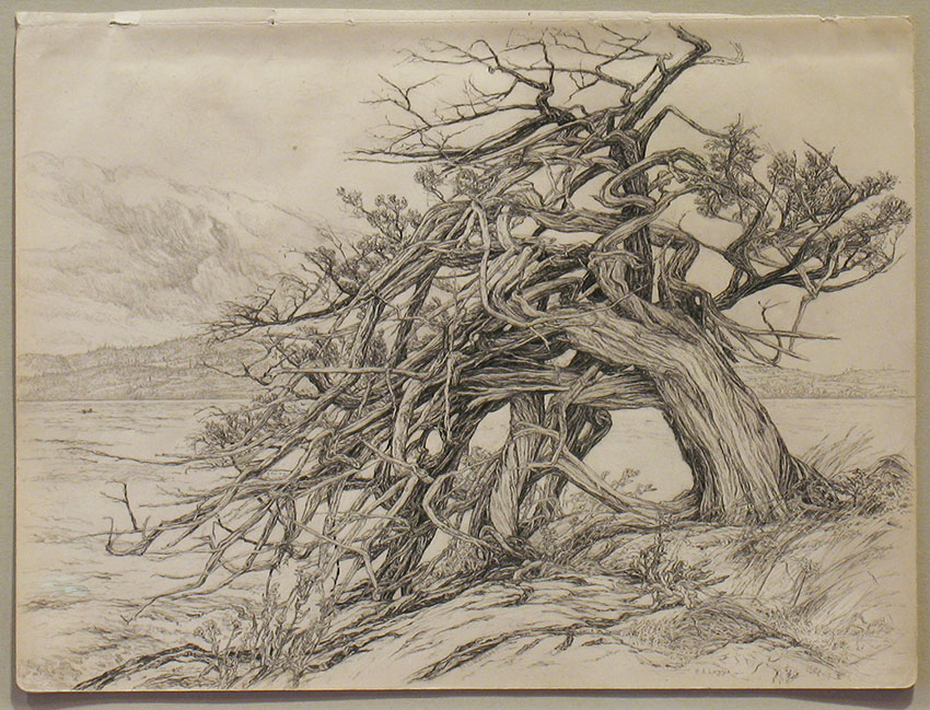 850x649 The Helen Loggie Gallery The Lambiel Museum