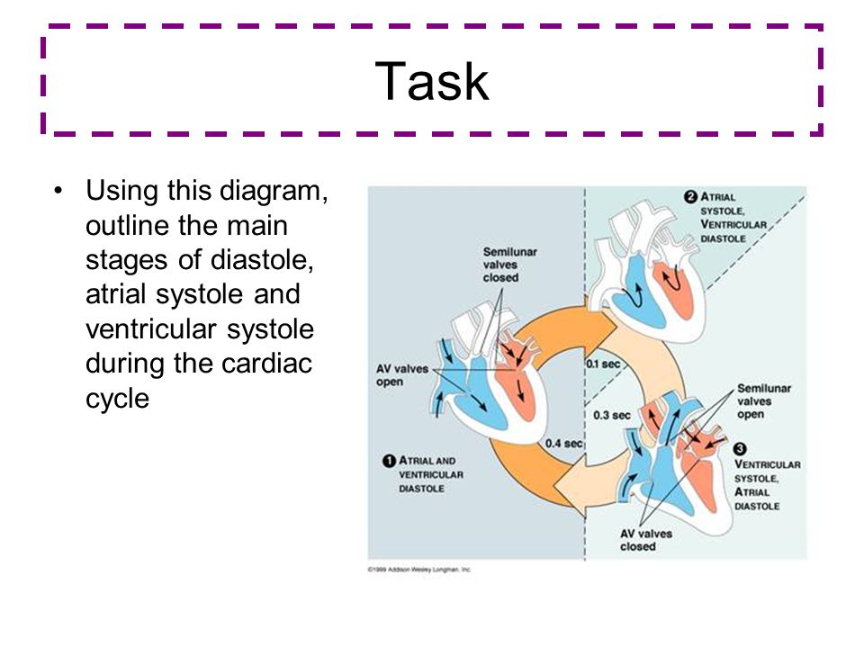 960x720 The Cardiac Cycle Describe The Cardiac Cycle, With Reference