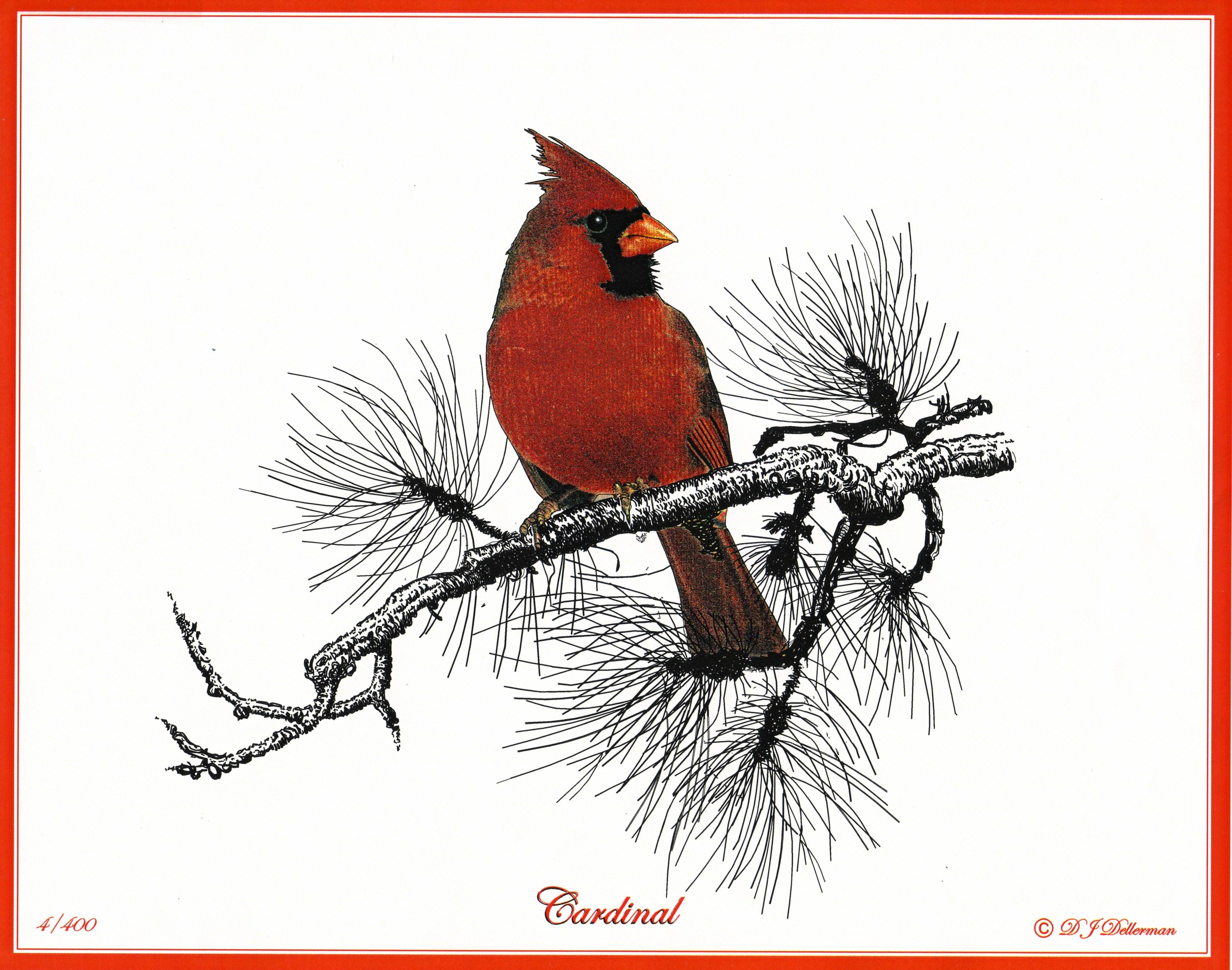 2871x2261 Cardinal Bird Drawing Beautiful Bird Pencil Drawings, Art