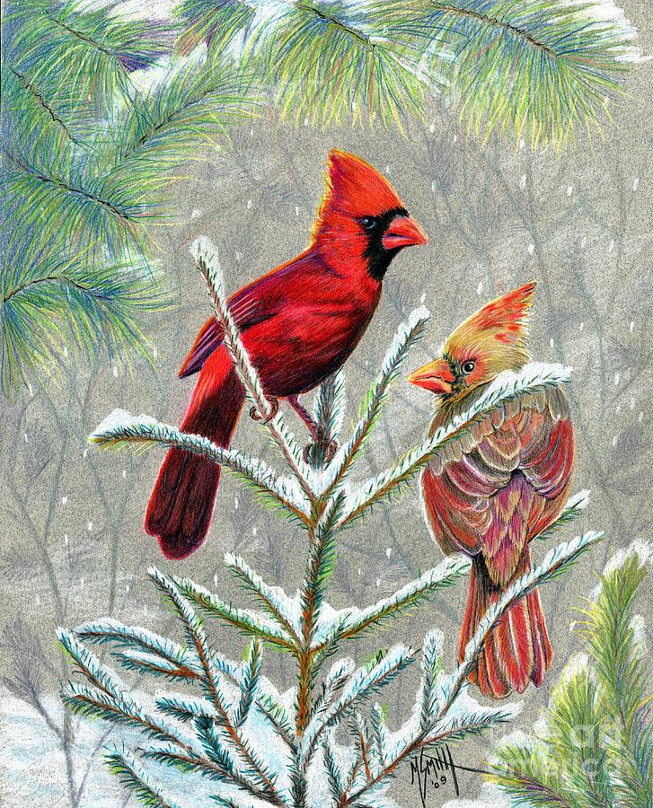 727x900 Northern Cardinals Drawing By Marilyn Smith