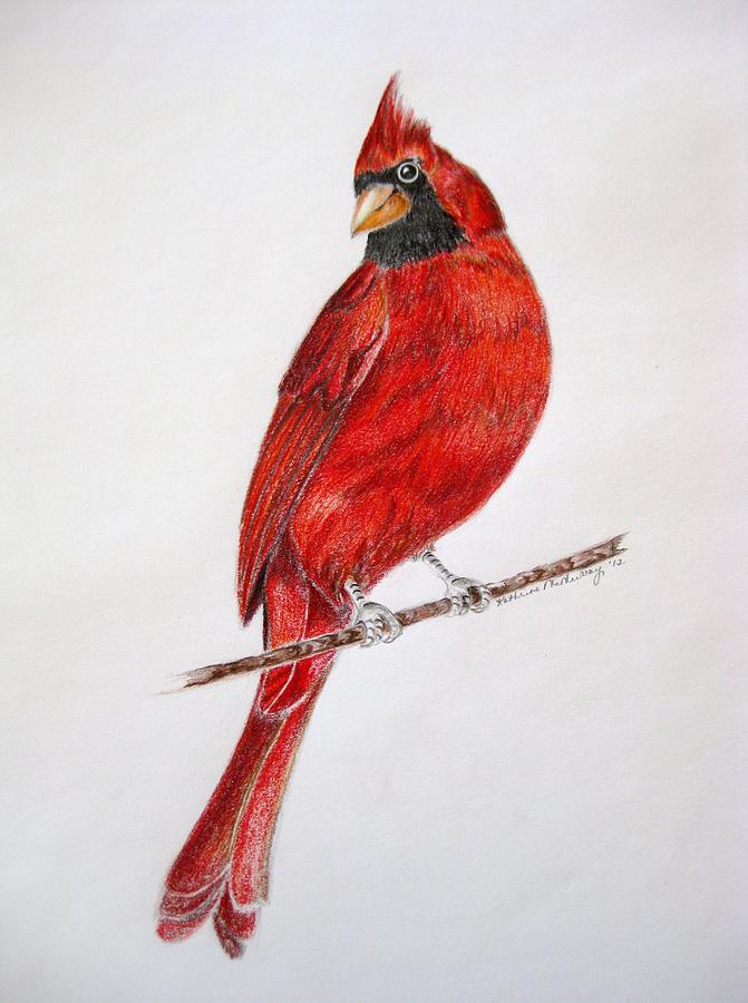 671x900 Draw A Snowy Christmas Scene Red Cardinal