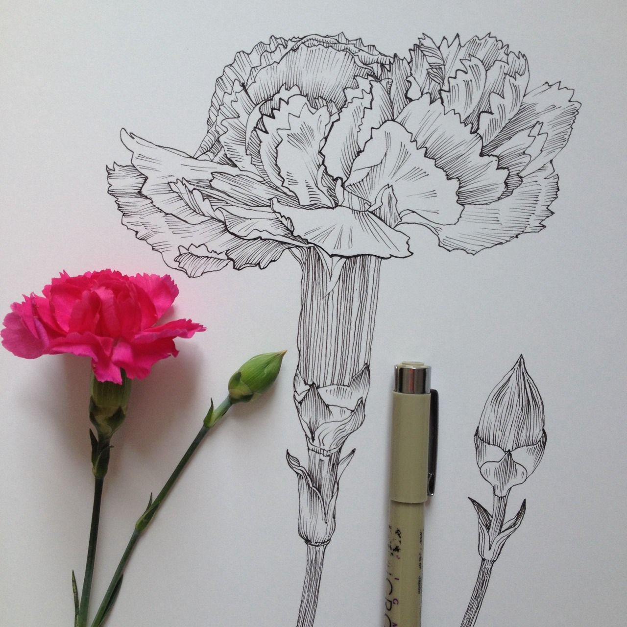 1280x1280 Badges Tangle Art Noel, Badges And Draw