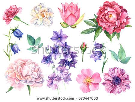 450x341 Set Flowers Of Bells, Lotus, Dog Rose, White Rose, Carnations
