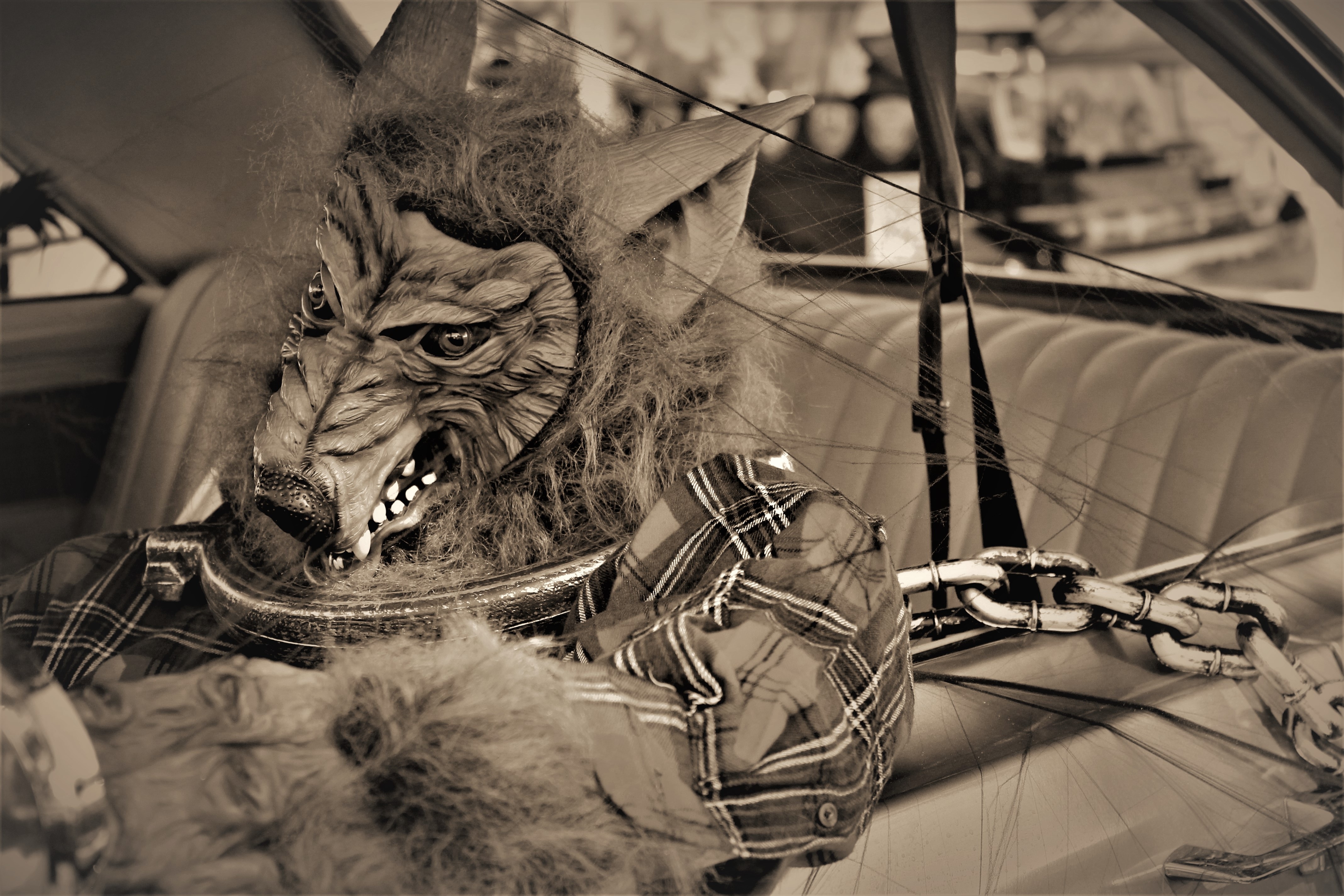 4272x2848 Free Images Silhouette, Black And White, Chain, Spooky, Mystical