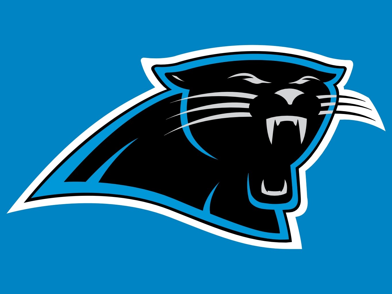1365x1024 Carolina Panthers 2017 18 Nfl Season Analysis 32 Teams In 32