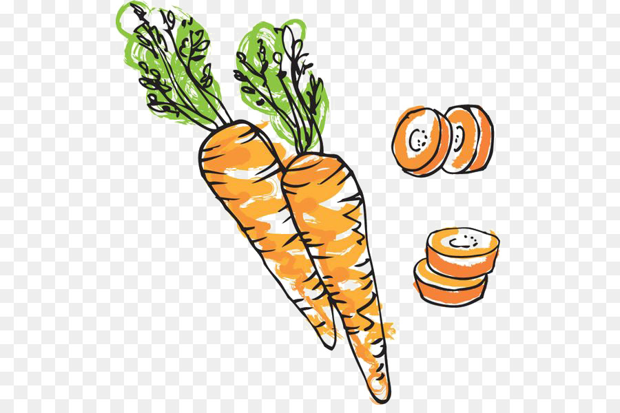 900x600 Carrot Cake Drawing Illustration