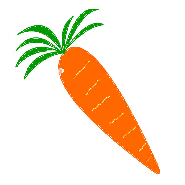 Carrot Drawing at GetDrawings | Free download