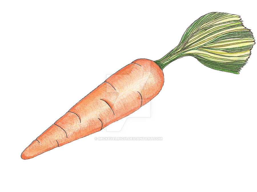 900x675 Carrot. Colorful Drawing! By Mickeyelric11