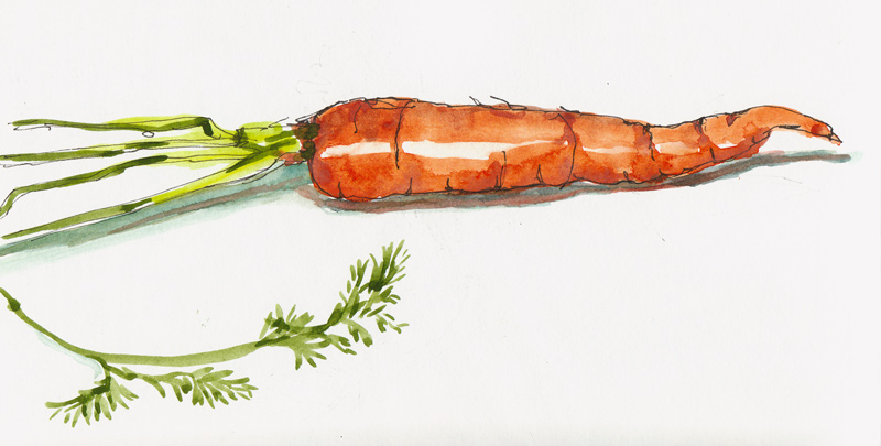800x405 Catching Up With Carrots Jana Bouc, Artist