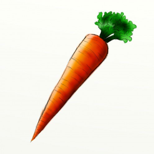 496x494 How To Draw A Carrot Feltmagnet