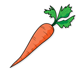 273x240 Search Photos Carrot Drawing