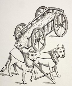 252x300 Ox Cart Drawings Fine Art America