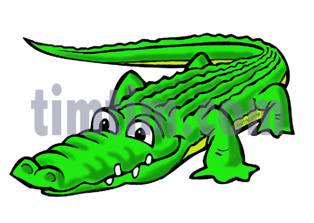 640x455 Free Drawing Of Alligator From The Category Reptiles Dinosaurs