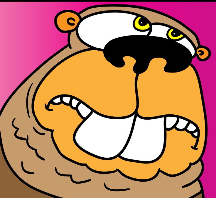 736x677 31 Best Beaver Stuffer Images On Beavers, Beaver