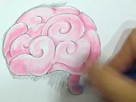 480x360 Draw A Brain Plants Vs Zombies