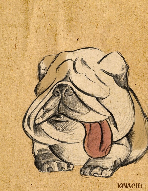 600x776 It's Signed By Ignacio And We Make That One Of Bernie's Many