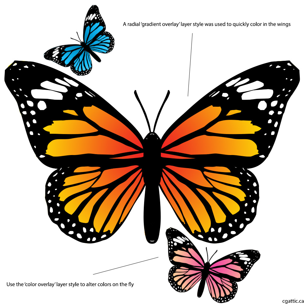 1000x1000 Butterfly Cartoon Drawing In 4 Steps With Photoshop