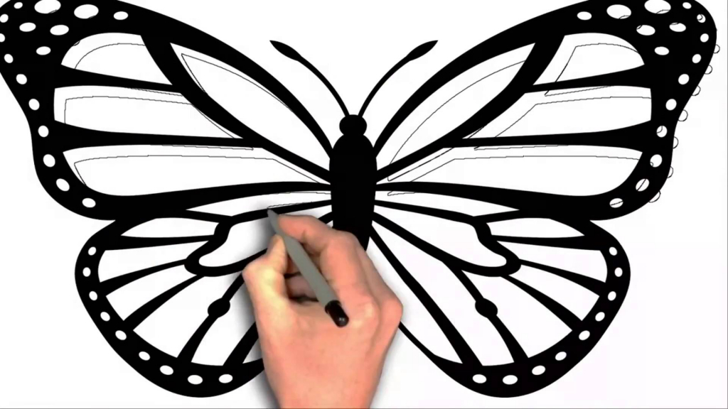 1024x576 Cartoon Butterfly Drawings How To Draw Black Butterfly Cartoon 2
