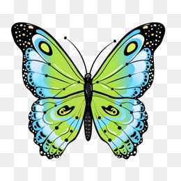 260x260 Plant Butterfly Cartoon Drawing, Cartoon, Color Of Lead, Plant Png