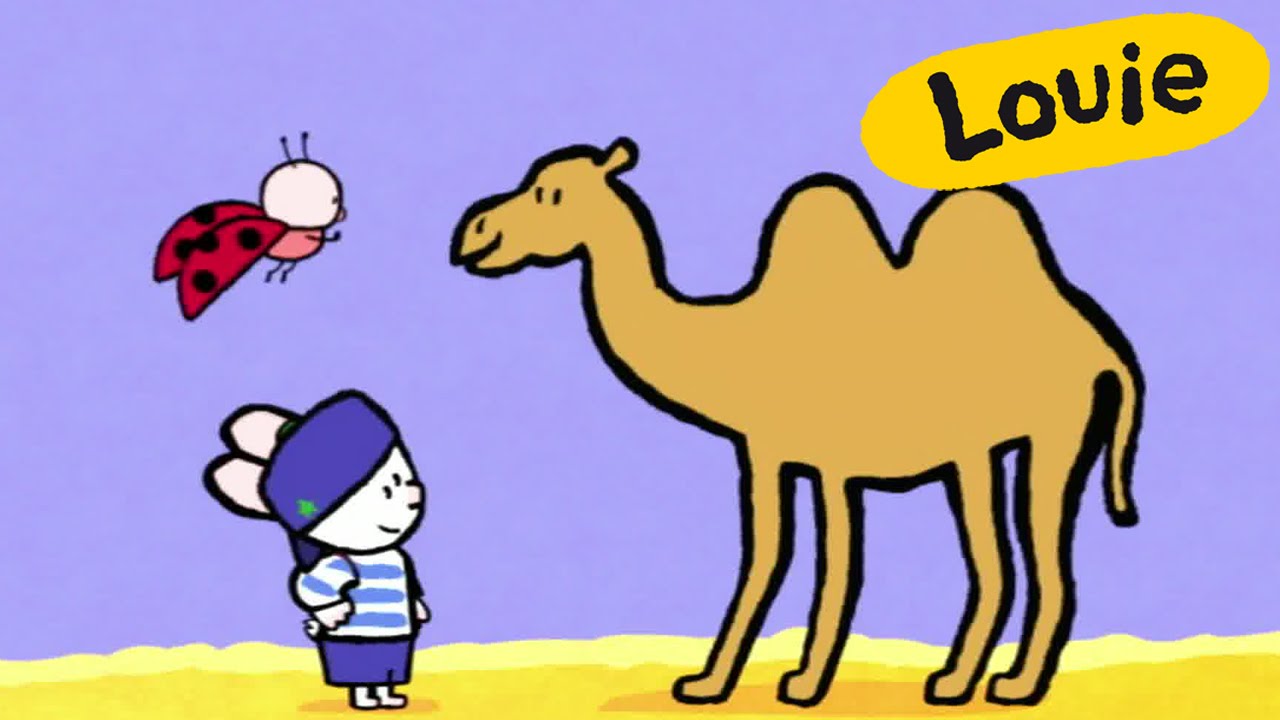 1280x720 Camel