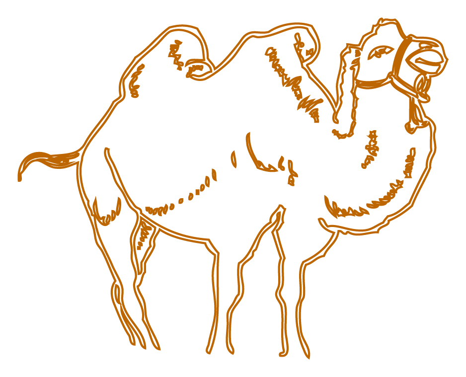 938x759 Camel Drawing Cartoon
