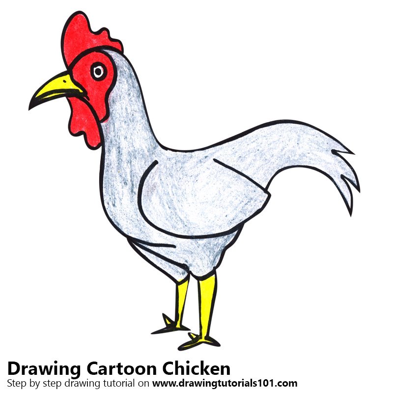 800x800 Learn How To Draw A Cartoon Chicken (Cartoon Animals) Step By Step