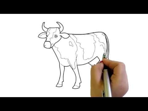 480x360 How To Draw A Cow Simple Easy Drawing Cartoon