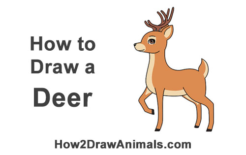 500x315 How To Draw A Deer (Cartoon)