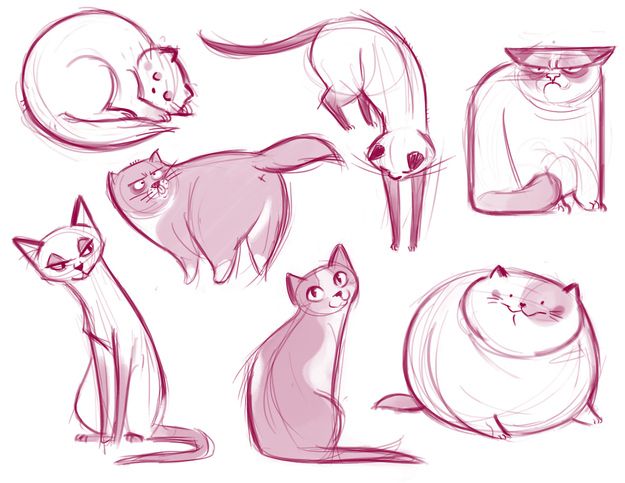 625x483 Daily Cat Drawings