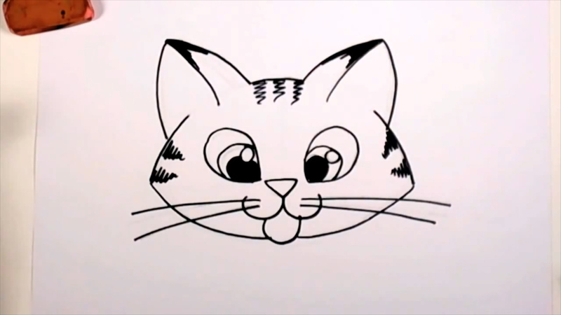 800x450 Pictures Cat Face Drawings Cartoon,