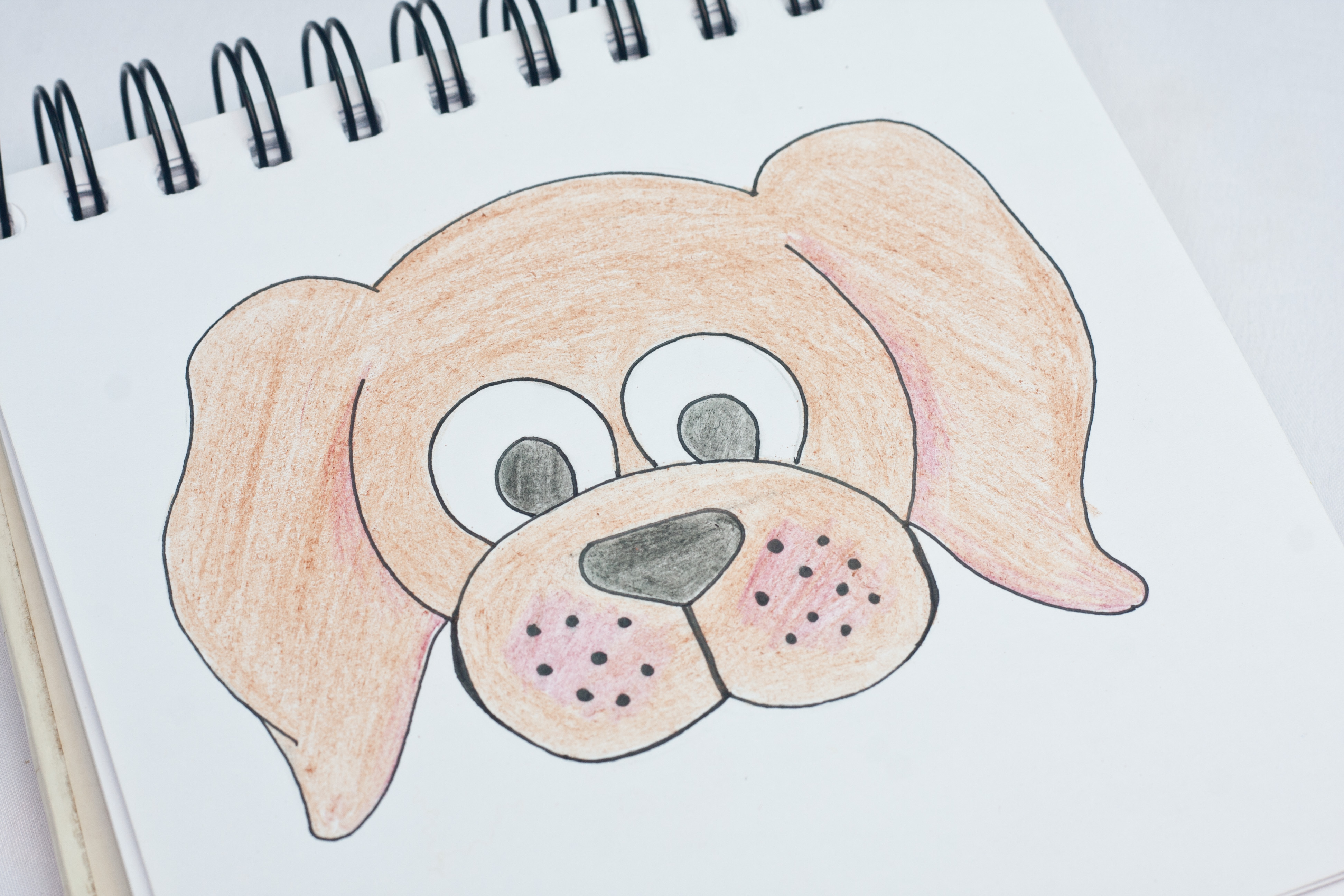 Pictures Of Dogs To Draw Retriever golden drawing dog drawings ...