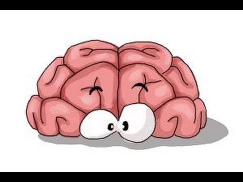 480x360 How To Draw A Brain For Kids