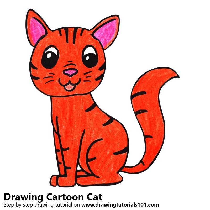 800x800 Learn How To Draw A Cartoon Cat (Cartoon Animals) Step By Step