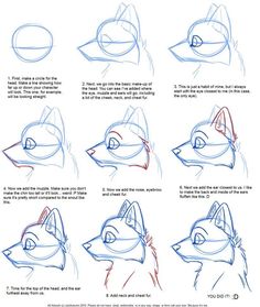 236x279 How To Draw Canines Head By Justautumn On Character