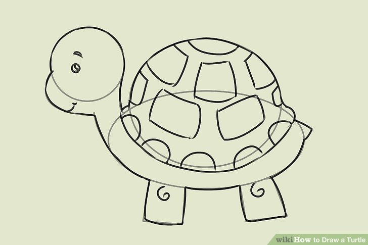 728x485 4 Ways To Draw A Turtle