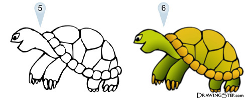 500x200 Cute Cartoon Turtle Step By Step