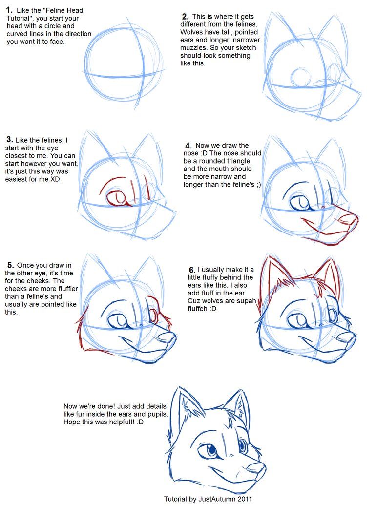 772x1036 How To Draw Canines Head By Justautumn On Character