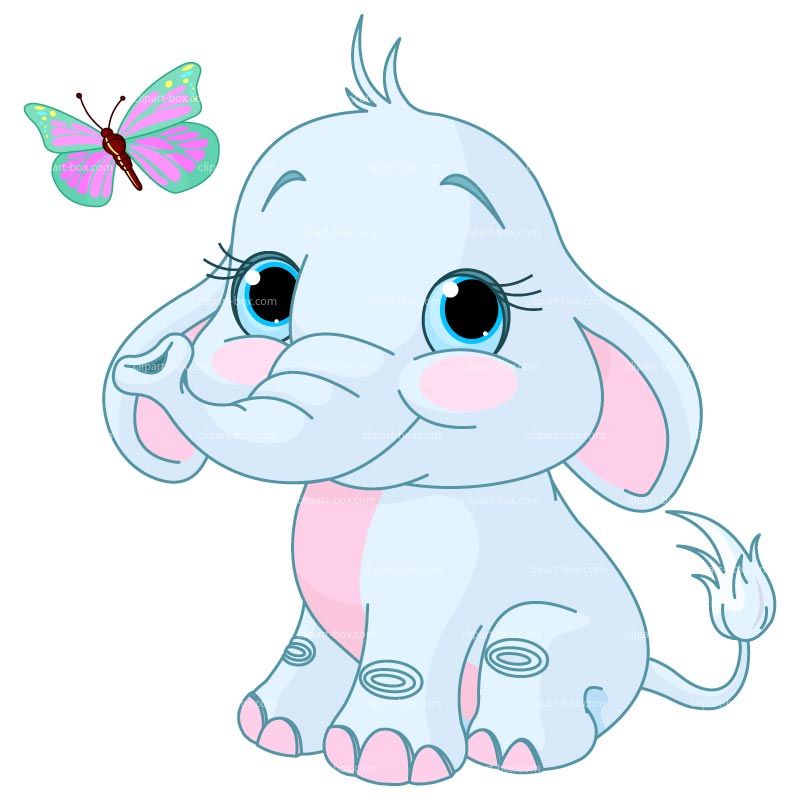 800x800 Free Baby Elephant Clip Art