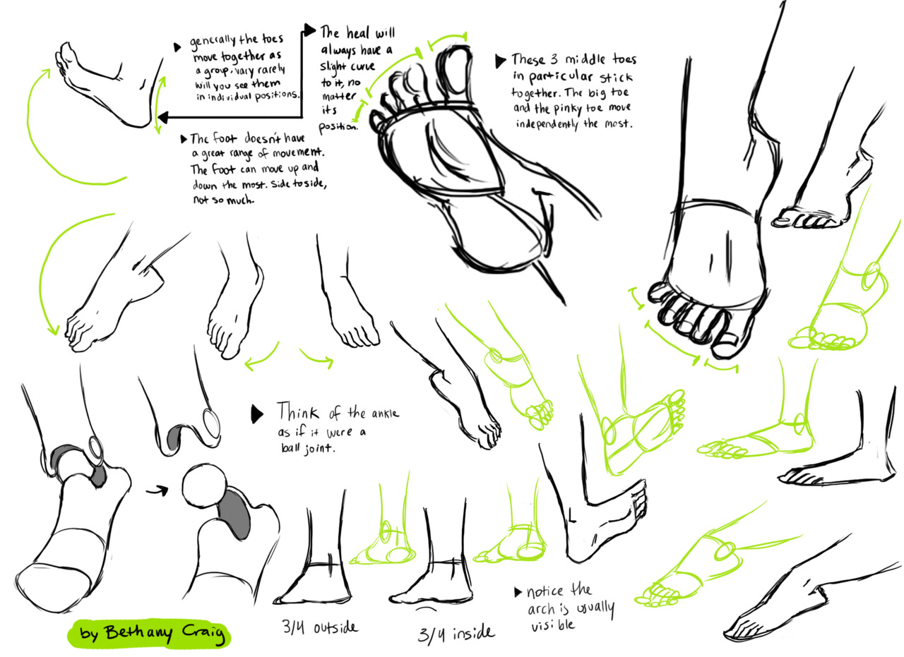 1280x931 Feet Are So Complicated, Much More So Than Hands, And We Don'T