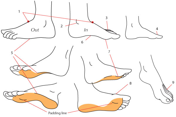 600x400 Human Anatomy Fundamentals How To Draw Feet