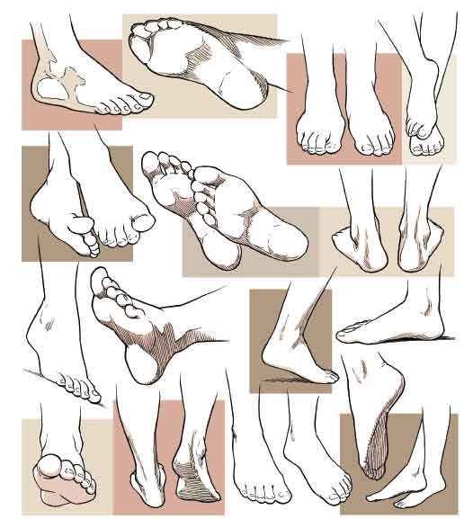 516x577 Manga Feet Character Design References