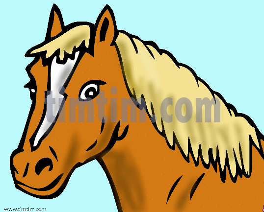 538x433 Free Drawing Of Horse Head From The Category Farm Animals Amp Ranch