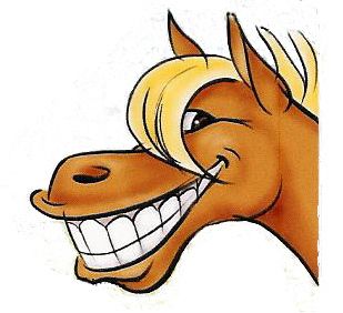 309x282 Pix For Gt Cute Cartoon Horse Face Project Ideas
