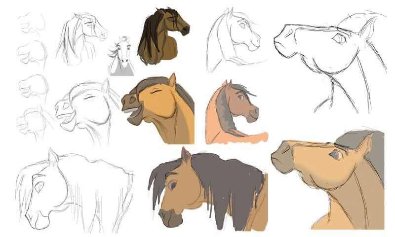 800x481 Cartoon Horse Drawing Cartoon, Horse And Sketches