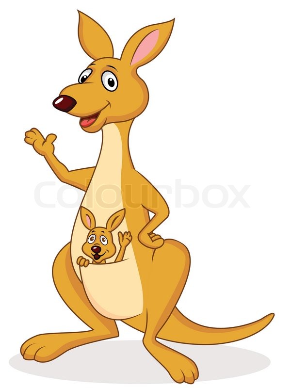 600x800 Kangaroo Cartoon Stock Vector Colourbox