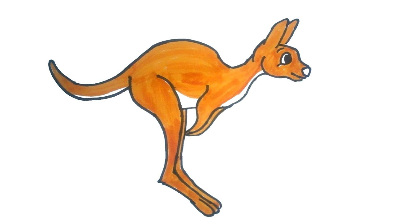 1280x720 Kangaroo Drawing How To Draw A Kangaroo Easy Step By Step