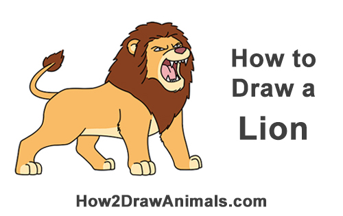 500x315 How To Draw A Lion Roaring (Cartoon)