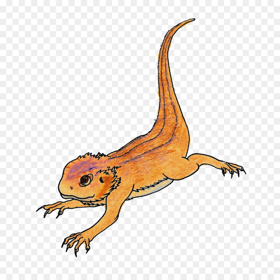 900x900 Rankins Dragon Cartoon Lizard Drawing Illustration