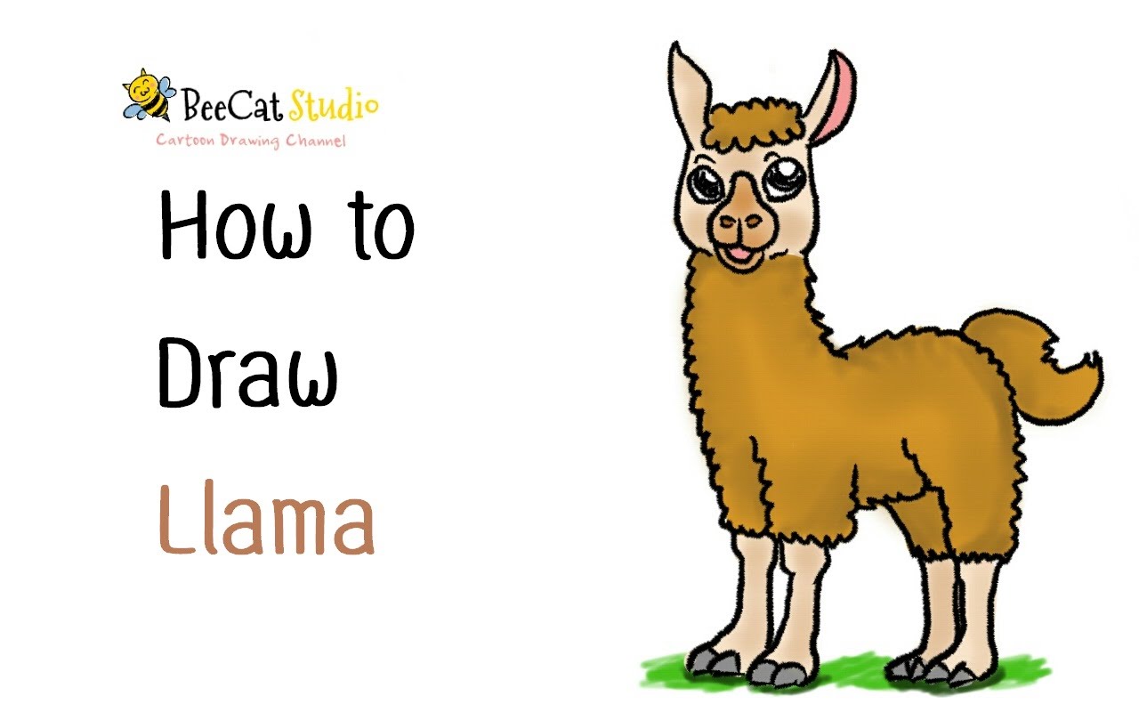 1280x800 How To Draw Cartoon Llama
