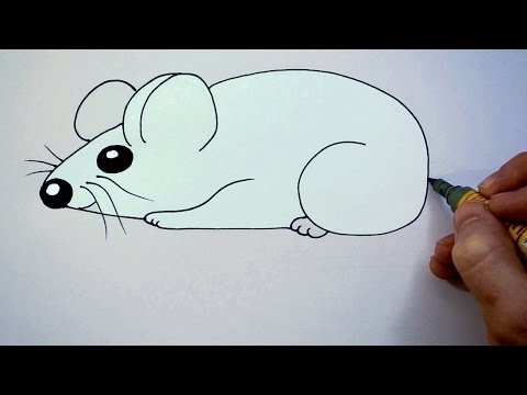 480x360 How To Draw A Cartoon Mouse